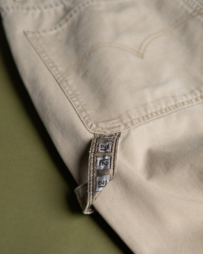 "Levi's L2" Painter Pants