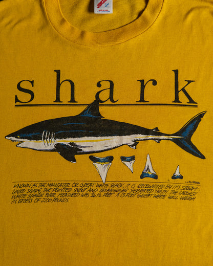 Shark Graphic Printed T-Shirt