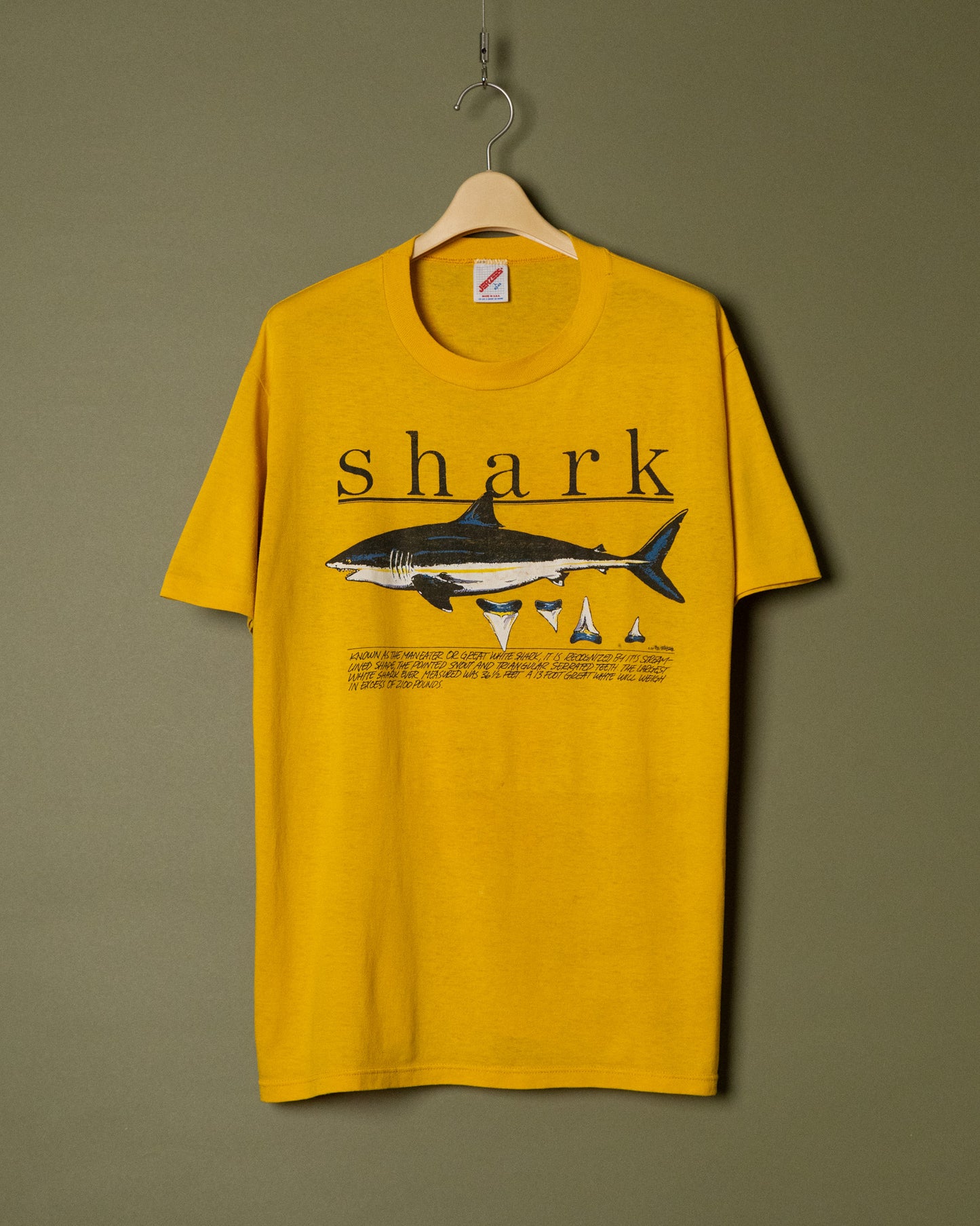 Shark Graphic Printed T-Shirt